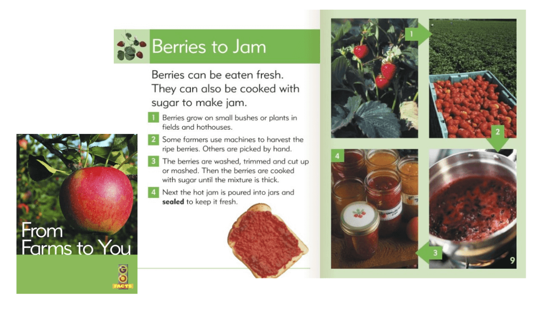 From farms to you - Earth Day books about sustainability