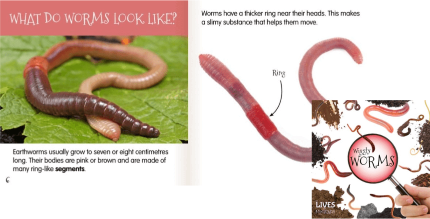 Gardening books for children - Wiggly Worms