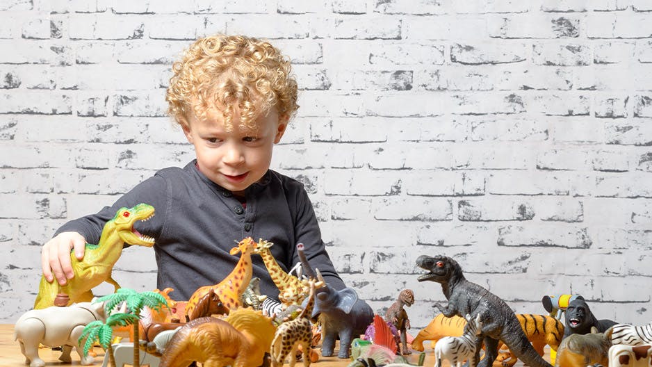 four-year-old child plays with toy animals