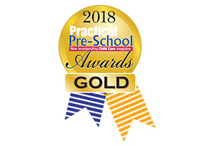 Practical Pre-School Awards Gold Award