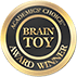 brain toy